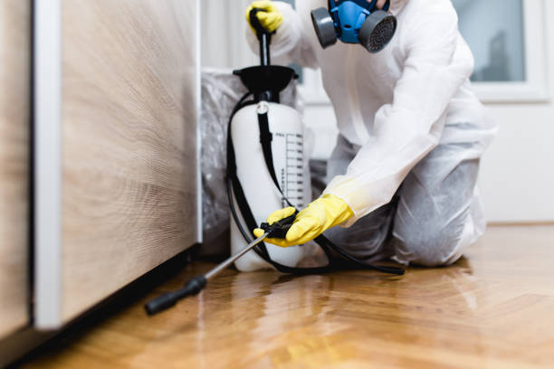 Best Pest Control Near Me in Mansfield, AR