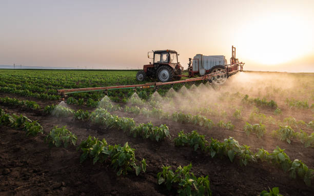 Best Commercial Pest Control Services  in Mansfield, AR