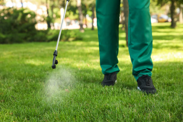 Best Affordable Pest Control Services  in Mansfield, AR