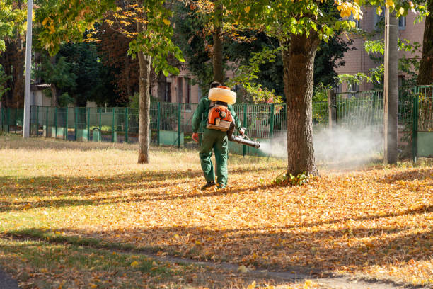 Best Insect Control  in Mansfield, AR