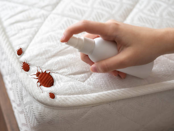 Pest Control for Restaurants in Mansfield, AR