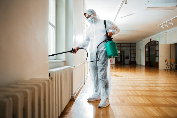 Best Wasp Removal Services  in Mansfield, AR