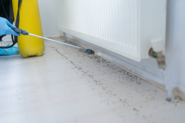 Best Best Pest Control Near Me  in Mansfield, AR